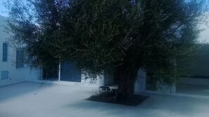 Enceinte de lâhĂ©bergement