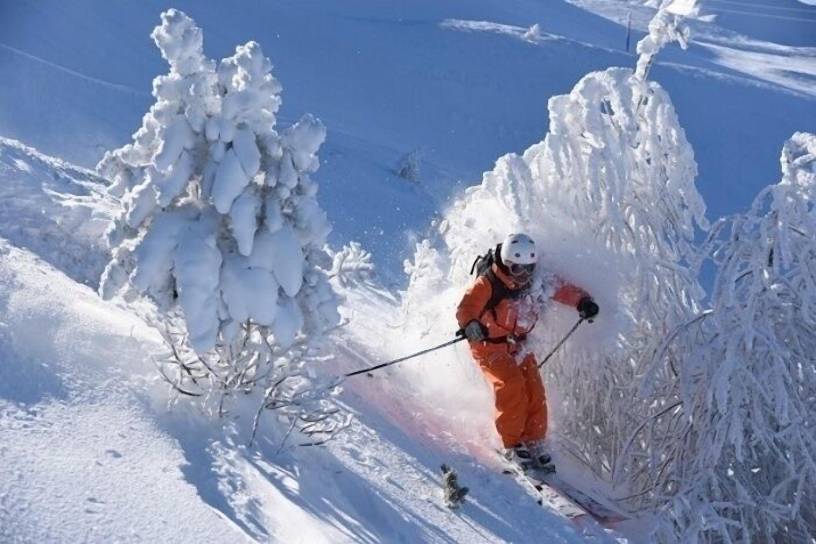 A skier in a snowy environment.