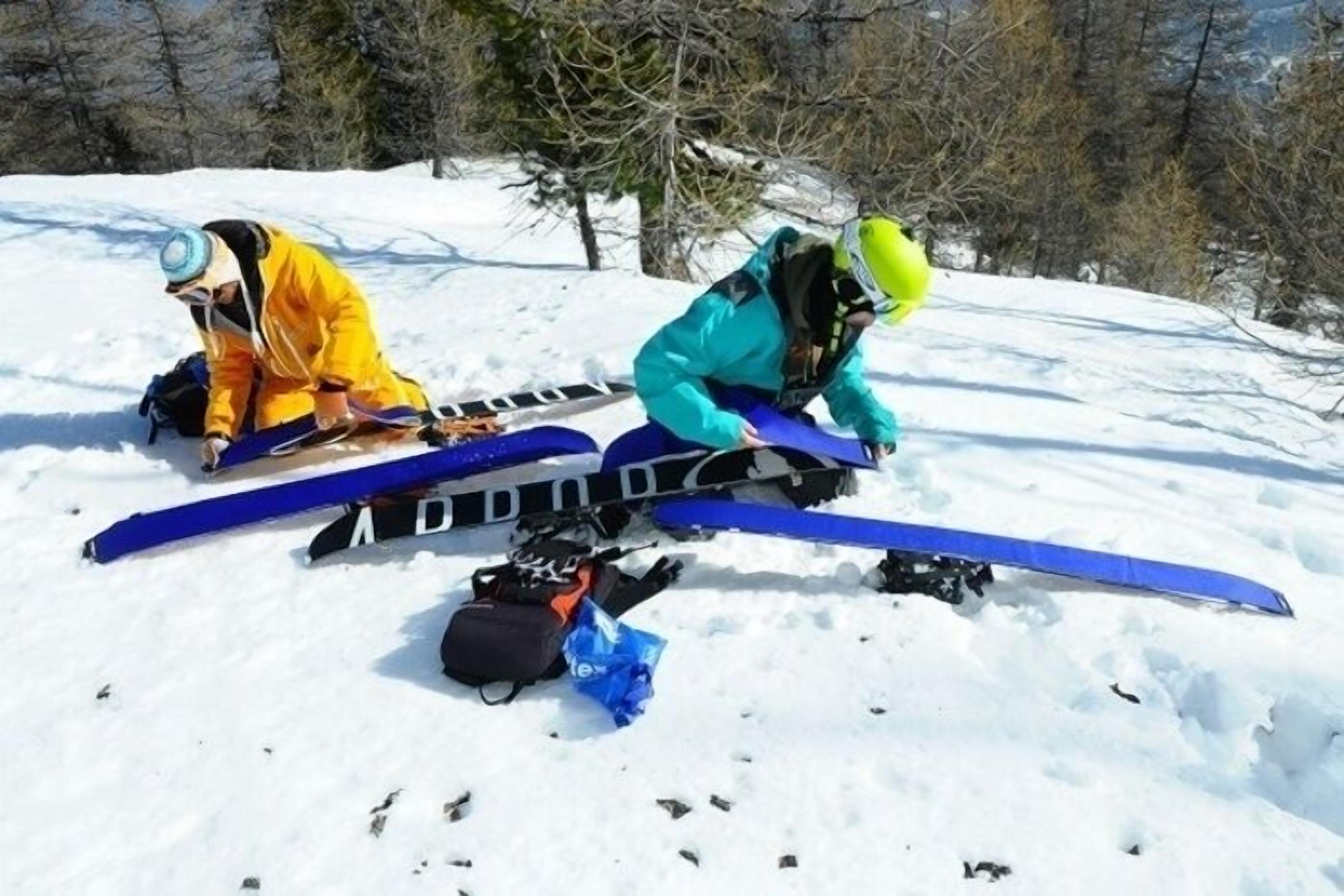 Snø- og skisport