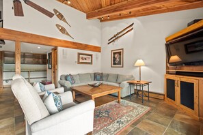 Cheminée, livres, vidéothèque