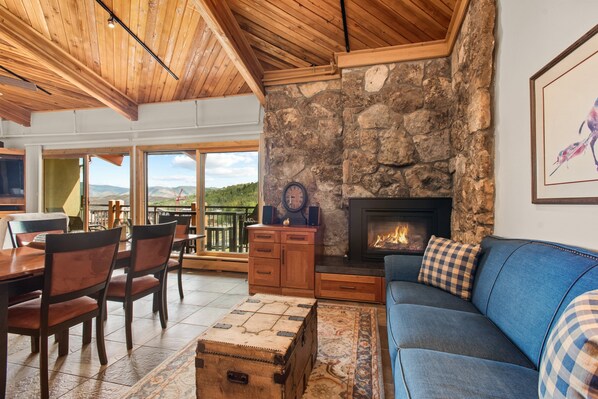 Fireplace, books, video library