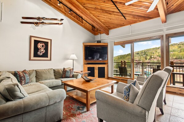 Cheminée, livres, vidéothèque