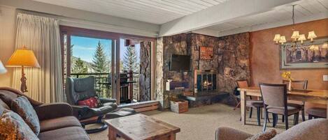 Chimenea, reproductor de DVD, libros y videoteca