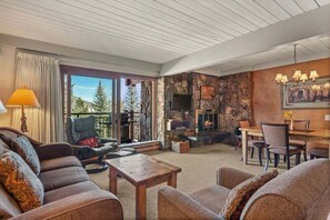 Cheminée, lecteur de DVD, livres, vidéothèque