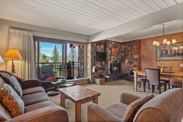 Kamin, DVD-Player, Bücher, Videothek