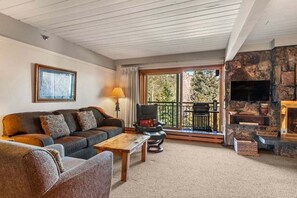 Kamin, DVD-Player, Bücher, Videothek