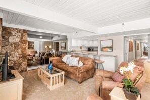 テレビ、暖炉、書庫、ステレオ