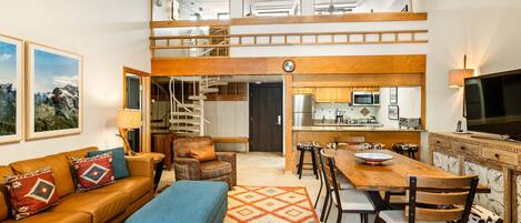 Télévision, cheminée, lecteur de DVD, livres