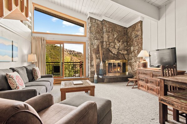 Fireplace, books, video library