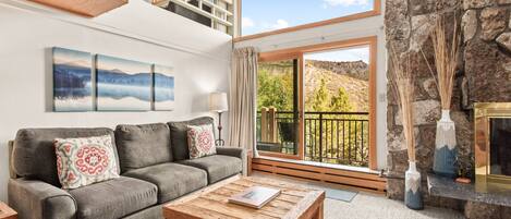 Fireplace, books, video library