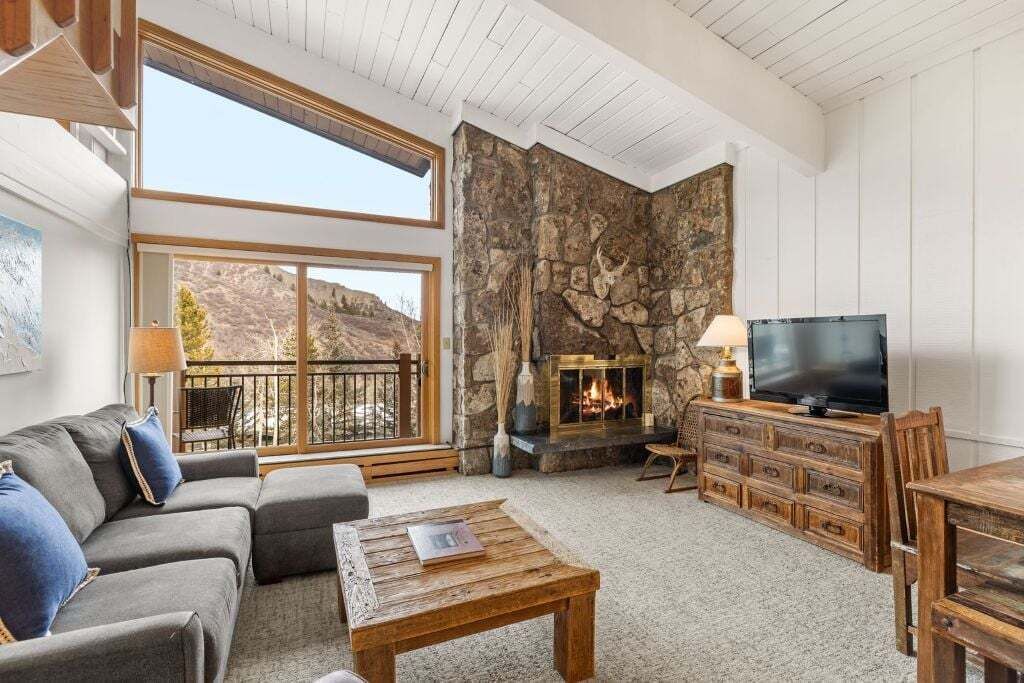 Fireplace, books, video library