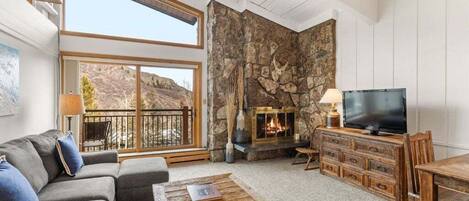 Fireplace, books, video library