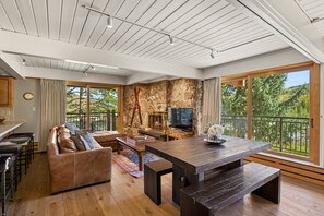 Fireplace, books, video library, stereo