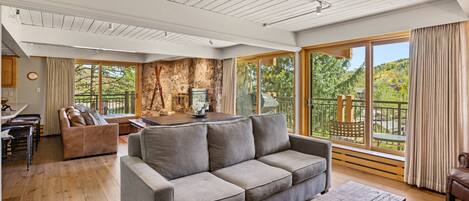 Chimenea, libros, videoteca y estéreo