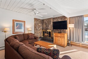 Kamin, DVD-Player, Bücher, Videothek