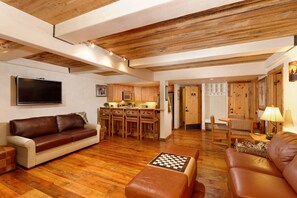 Fireplace, books, video library, stereo