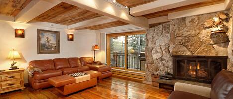 Fireplace, books, video library, stereo