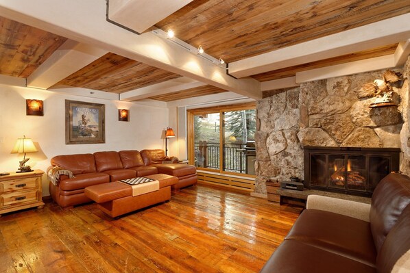 暖炉、書庫、ビデオライブラリ、ステレオ