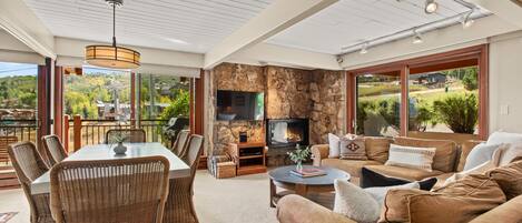 Fireplace, books, video library, stereo