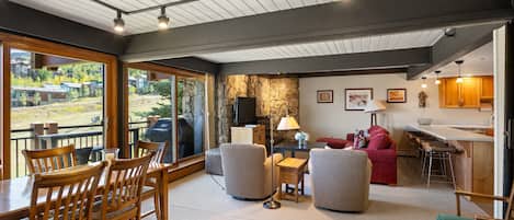 Fireplace, books, video library, stereo