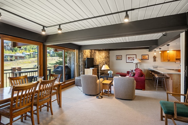 Fireplace, books, video library, stereo