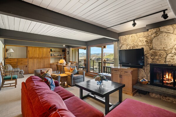 Kamin, BĂŒcher, Videothek, Stereoanlage