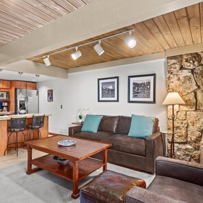 TV, fireplace, video games, DVD player