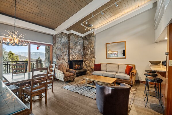 Fireplace, DVD player, books, video library