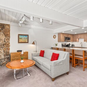 Kamin, DVD-Player, Bücher, Videothek