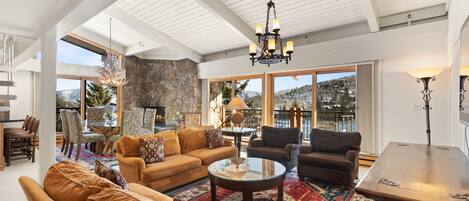 TV, fireplace, books, video library