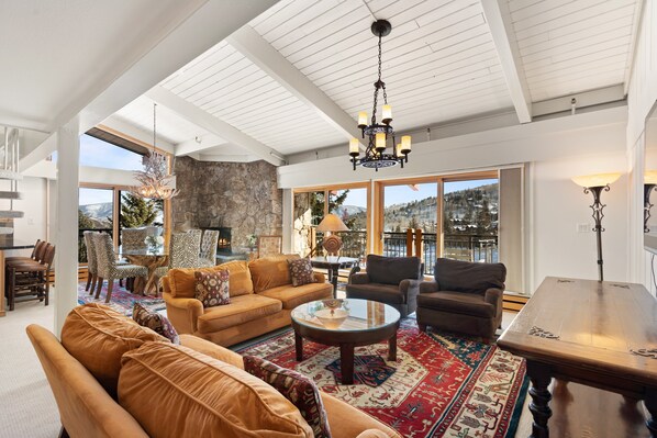 TV, fireplace, books, video library