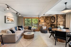 TV, fireplace, books, video library