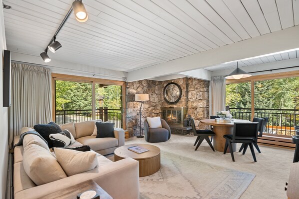 TV, fireplace, books, video library