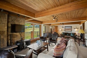 TV, fireplace, books, video library