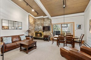 Cheminée, lecteur de DVD, livres, vidéothèque