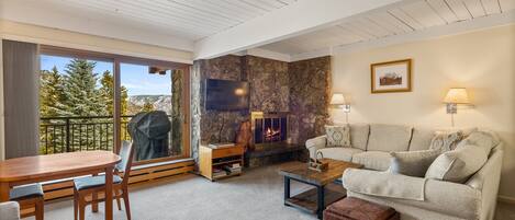 Fireplace, DVD player, books, video library