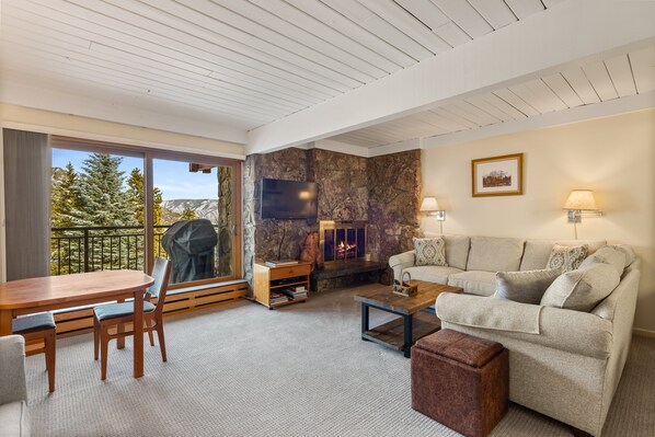 暖炉、DVD プレーヤー、書庫、ビデオライブラリ