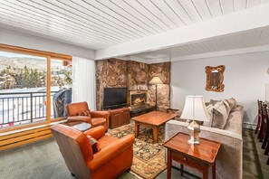 Fireplace, DVD player, books, video library