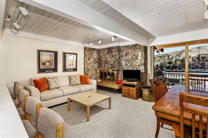 Fireplace, DVD player, books, video library
