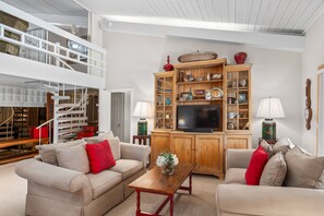 Fireplace, books, video library