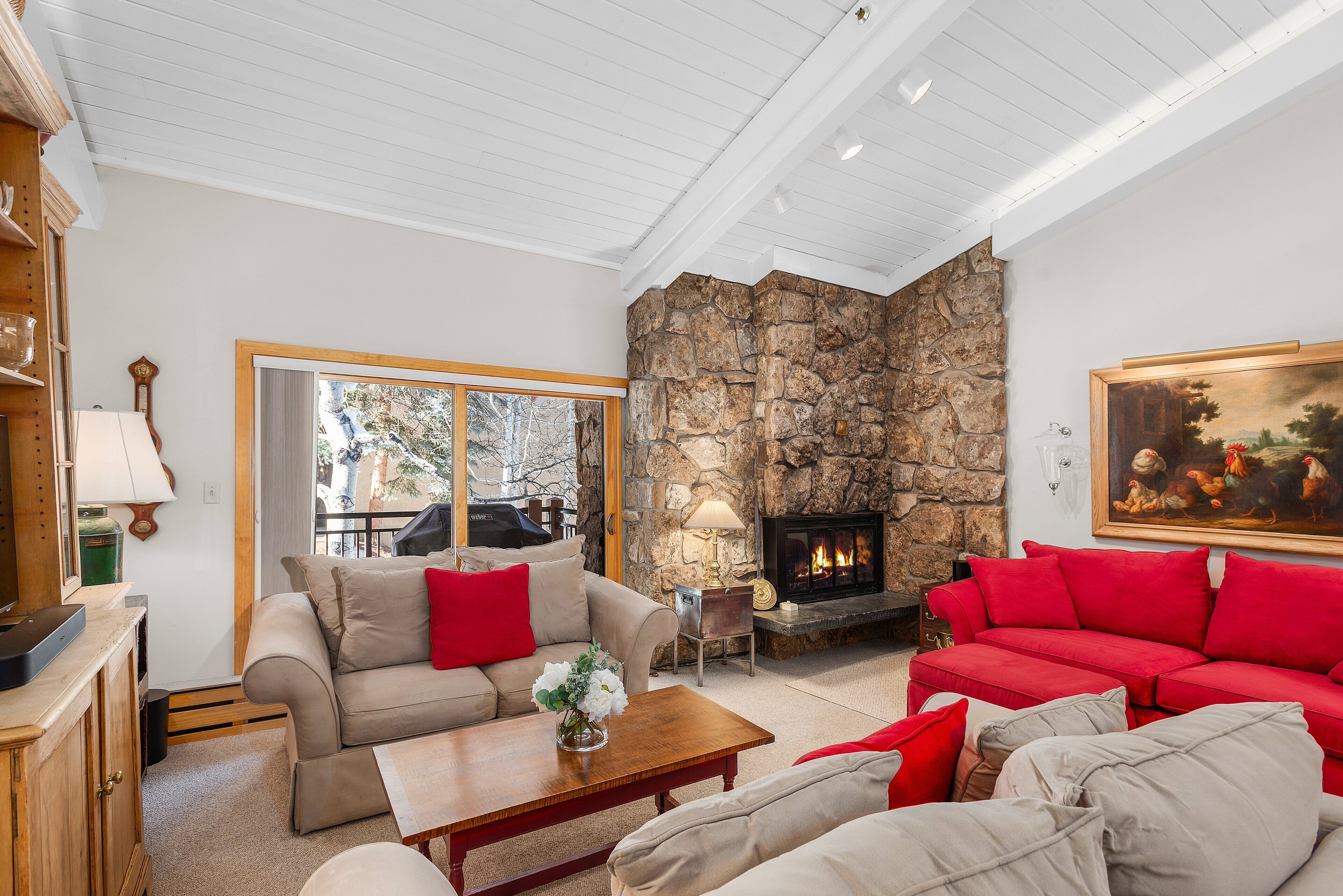 壁炉、书、影片库