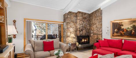 Chimenea, libros y videoteca