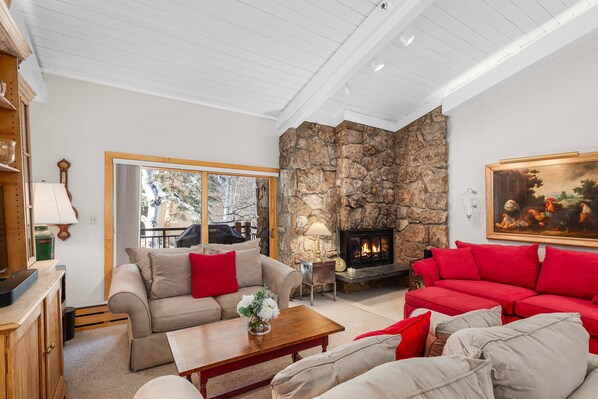 Fireplace, books, video library