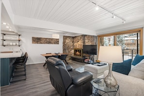 Fireplace, DVD player, books, video library