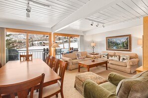 Cheminée, livres, vidéothèque, chaîne hi-fi