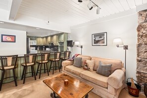 Cheminée, livres, vidéothèque, chaîne hi-fi