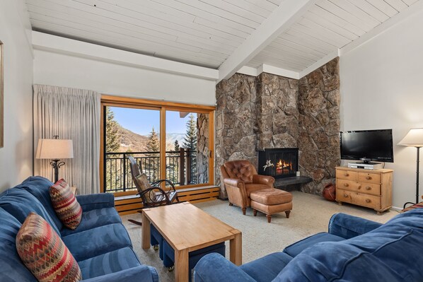 Fireplace, books, video library, stereo