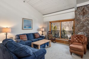 Kamin, Bücher, Videothek, Stereoanlage