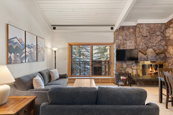 Televisión, chimenea, reproductor de DVD, libros