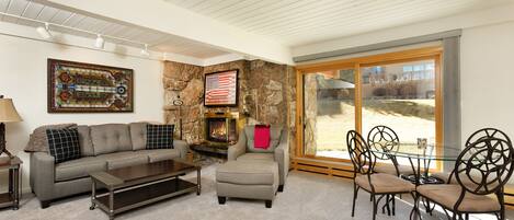 Cheminée, lecteur de DVD, livres, vidéothèque